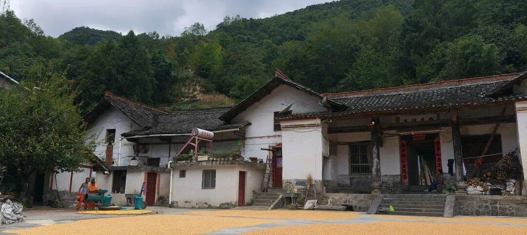 千里单骑走秦晋之三十七：经汉阴、镇巴、高川入蜀，翻越大巴山 300 公里