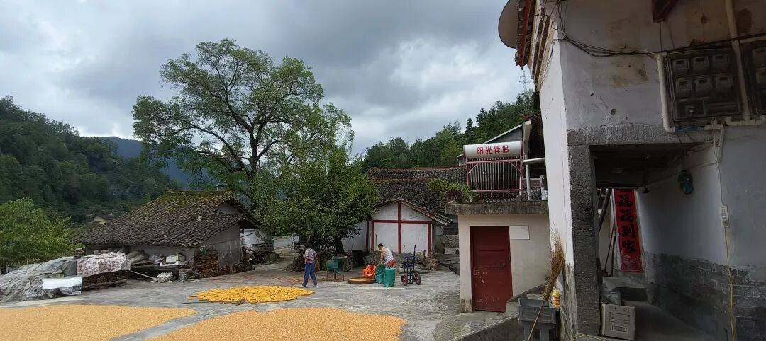 千里单骑走秦晋之三十七：经汉阴、镇巴、高川入蜀，翻越大巴山 300 公里
