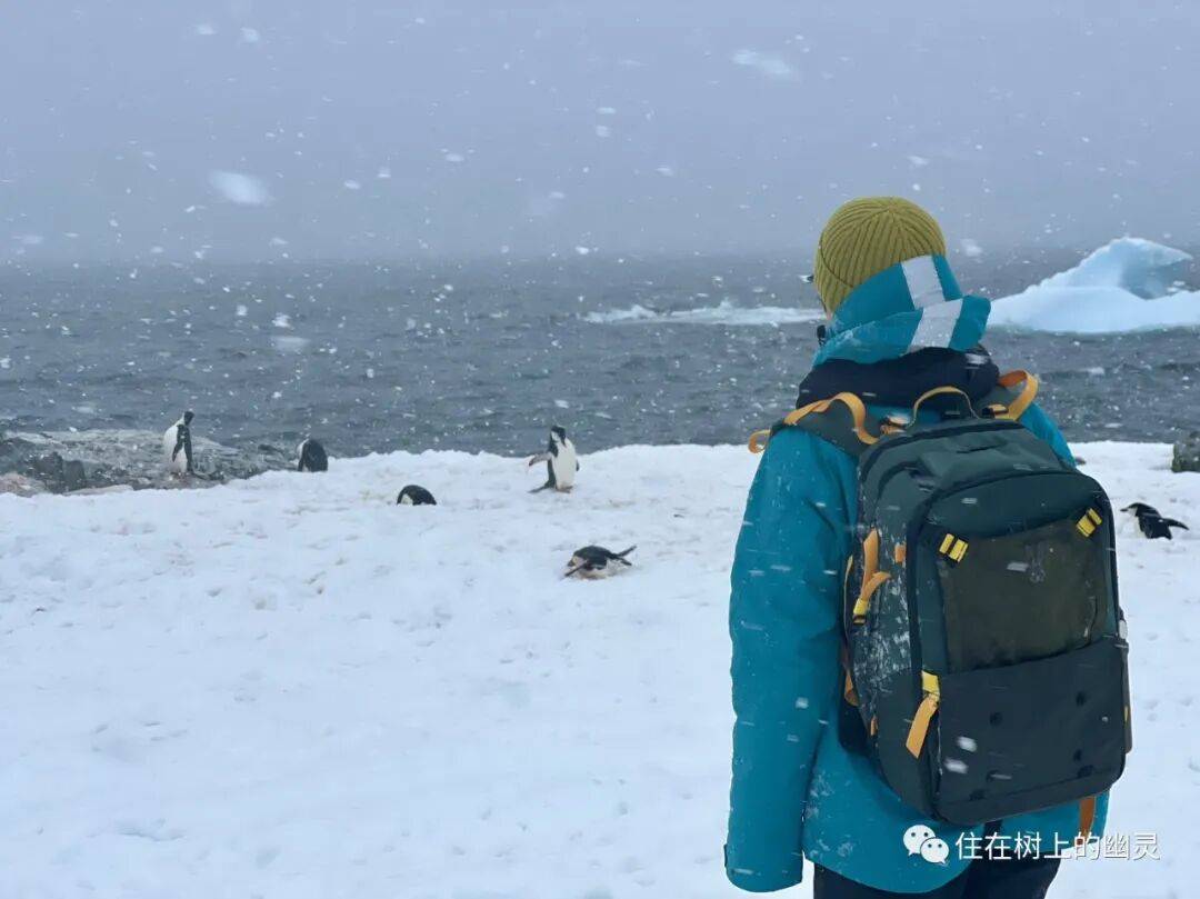 摩旅去南极：致永恒的旅行（含南极攻略）