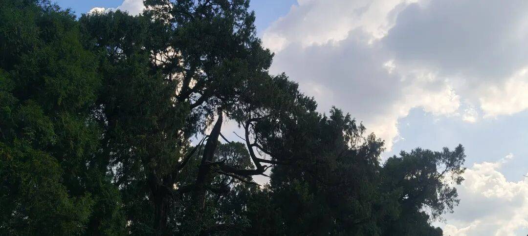 千里单骑走秦晋之三十九    从旺苍到厚坝，金牛古道和荒野独行 (返程番外篇)