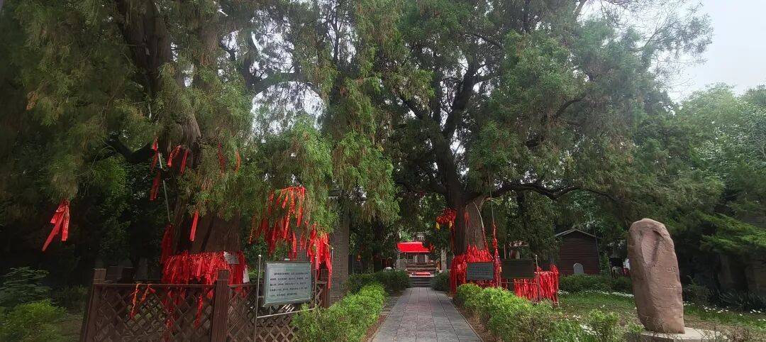千里单骑走秦晋之三十二:返程番外篇 访韩愈墓、原陵、唐河阳故址、汉魏洛阳故城 千里单骑走秦晋之三十二:返程番外篇 访韩愈墓、原陵、唐河阳故址、汉魏洛阳故城