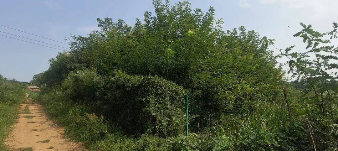 千里单骑走秦晋之三十三  返程番外篇   在洛阳，访新安函谷关、宜阳访石敬瑭墓、韩国故城遗址